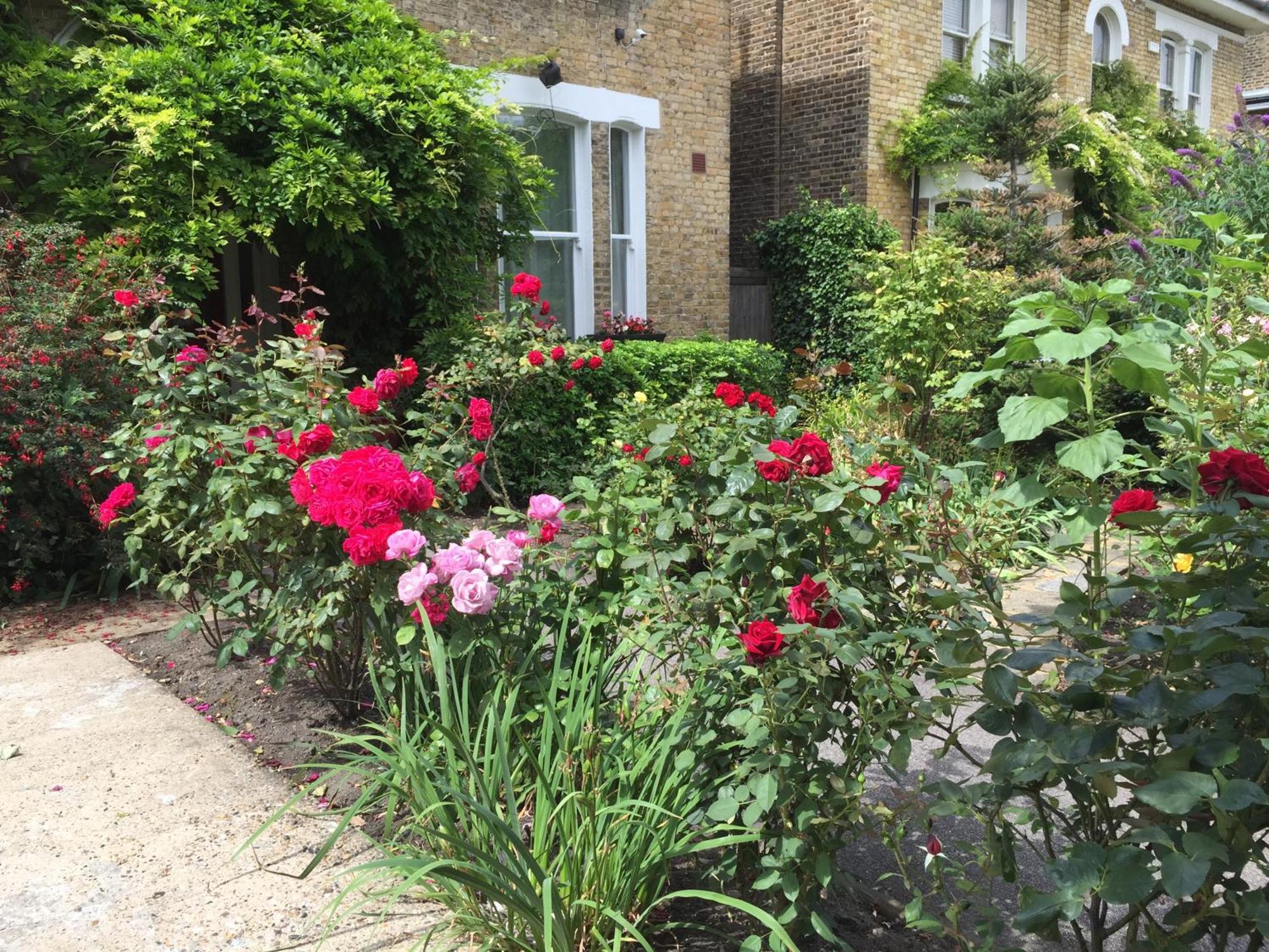 St. James'S Guest House London Luaran gambar
